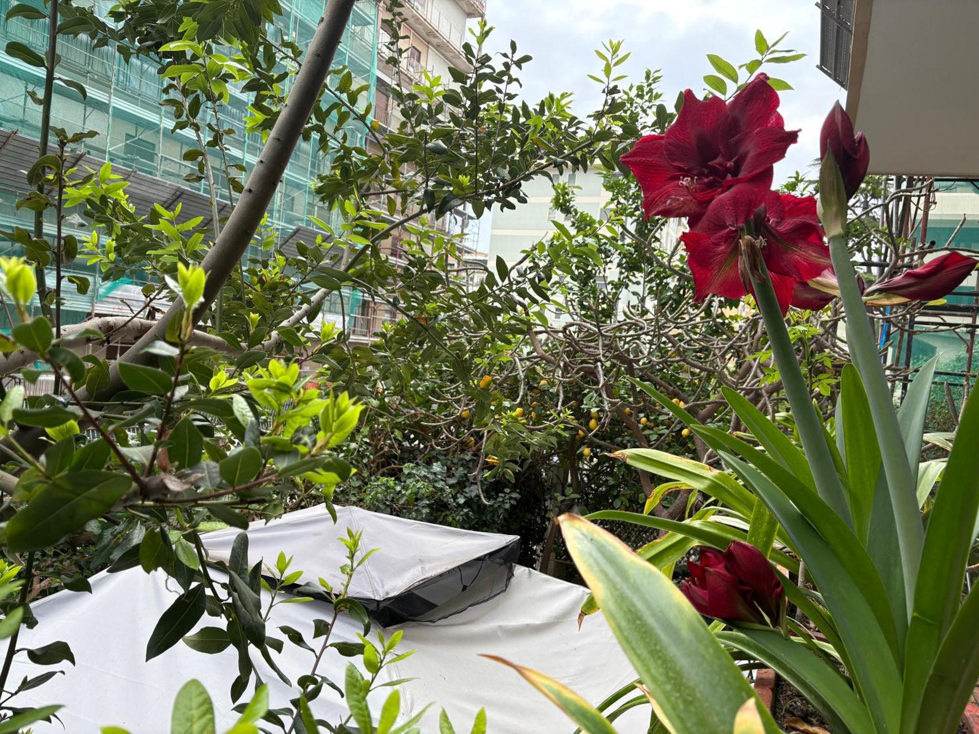 Penelope B&B Palermo Exteriér fotografie