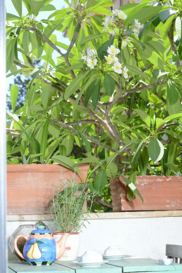 Penelope B&B Palermo Exteriér fotografie